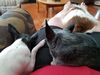 Filename=20190626_006.jpg
Filesize=453KiB
Dimensions=2048x1536
Date added=Jul 25, 2019 20190626_006.jpg