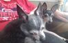 Filename=20190626_008.jpg
Filesize=248KiB
Dimensions=2048x1301
Date added=Jul 25, 2019 20190626_008.jpg
