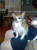 Filename=20190628_00b.jpg
Filesize=347KiB
Dimensions=1536x2048
Date added=Jul 26, 2021 20190628_00b.jpg