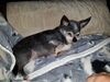 Filename=20190628_081.jpg
Filesize=701KiB
Dimensions=2048x1536
Date added=Jul 25, 2019 20190628_081.jpg