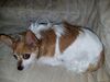 Filename=20190628_082.jpg
Filesize=583KiB
Dimensions=2048x1536
Date added=Jul 25, 2019 20190628_082.jpg