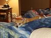 Filename=20190628_084.jpg
Filesize=397KiB
Dimensions=2048x1536
Date added=Jul 25, 2019 20190628_084.jpg