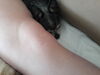 Filename=20190629_004.jpg
Filesize=191KiB
Dimensions=2048x1536
Date added=Jul 25, 2019 20190629_004.jpg