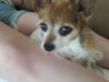 Filename=20190629_005.jpg
Filesize=205KiB
Dimensions=2048x1536
Date added=Jul 25, 2019 20190629_005.jpg