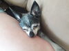 Filename=20190629_006.jpg
Filesize=276KiB
Dimensions=2048x1536
Date added=Jul 25, 2019 20190629_006.jpg