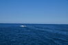 Filename=20190629_042.jpg
Filesize=331KiB
Dimensions=2047x1360
Date added=Jul 25, 2019 20190629_042.jpg