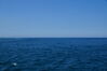 Filename=20190629_043.jpg
Filesize=317KiB
Dimensions=2047x1360
Date added=Jul 25, 2019 20190629_043.jpg
