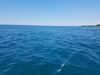 Filename=20190629_044.jpg
Filesize=451KiB
Dimensions=2048x1536
Date added=Jul 25, 2019 20190629_044.jpg