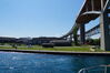 Filename=20190629_060.jpg
Filesize=476KiB
Dimensions=2047x1360
Date added=Jul 25, 2019 20190629_060.jpg