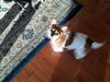 Filename=20190629_075.jpg
Filesize=656KiB
Dimensions=2048x1536
Date added=Jul 25, 2019 20190629_075.jpg