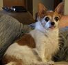Filename=20190707_001.jpg
Filesize=417KiB
Dimensions=2048x1959
Date added=Apr 02, 2020 20190707_001.jpg