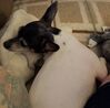 Filename=20190707_002.jpg
Filesize=456KiB
Dimensions=2047x2021
Date added=Apr 02, 2020 20190707_002.jpg
