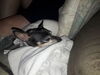 Filename=20190707_004.jpg
Filesize=366KiB
Dimensions=2048x1536
Date added=Apr 02, 2020 20190707_004.jpg