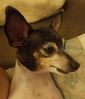 Filename=20190710_002.jpg
Filesize=327KiB
Dimensions=1759x2047
Date added=Apr 04, 2020 20190710_002.jpg