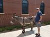 Filename=20190720_003.jpg
Filesize=633KiB
Dimensions=2048x1536
Date added=Apr 04, 2020 20190720_003.jpg