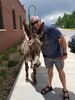 Filename=20190720_006.jpg
Filesize=602KiB
Dimensions=1536x2048
Date added=Apr 04, 2020 20190720_006.jpg