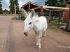 Filename=20190720_015.jpg
Filesize=932KiB
Dimensions=2048x1536
Date added=Apr 04, 2020 20190720_015.jpg
