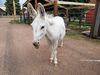 Filename=20190720_016.jpg
Filesize=1012KiB
Dimensions=2048x1536
Date added=Apr 04, 2020 20190720_016.jpg