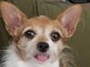Filename=20190804_001.jpg
Filesize=294KiB
Dimensions=2048x1536
Date added=Apr 04, 2020 20190804_001.jpg