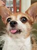 Filename=20190804_003.jpg
Filesize=377KiB
Dimensions=1536x2048
Date added=Apr 04, 2020 20190804_003.jpg