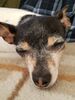 Filename=20190804_004.jpg
Filesize=406KiB
Dimensions=1536x2048
Date added=Apr 04, 2020 20190804_004.jpg