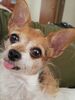 Filename=20190804_005.jpg
Filesize=410KiB
Dimensions=1536x2048
Date added=Apr 04, 2020 20190804_005.jpg