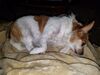 Filename=20190805_001.jpg
Filesize=485KiB
Dimensions=2048x1536
Date added=Apr 04, 2020 20190805_001.jpg