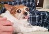 Filename=20190809_001.jpg
Filesize=369KiB
Dimensions=2048x1417
Date added=Apr 04, 2020 20190809_001.jpg