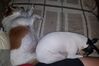 Filename=20190821_002.jpg
Filesize=407KiB
Dimensions=2048x1361
Date added=Apr 09, 2020 20190821_002.jpg