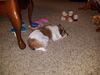 Filename=20190822_001.jpg
Filesize=699KiB
Dimensions=2048x1536
Date added=Apr 09, 2020 20190822_001.jpg