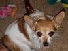 Filename=20190827_002.jpg
Filesize=427KiB
Dimensions=2048x1536
Date added=Apr 09, 2020 20190827_002.jpg