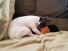 Filename=20190831_001.jpg
Filesize=401KiB
Dimensions=2048x1536
Date added=Apr 09, 2020 20190831_001.jpg