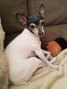 Filename=20190831_002.jpg
Filesize=376KiB
Dimensions=1536x2048
Date added=Apr 09, 2020 20190831_002.jpg
