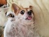Filename=20190831_003.jpg
Filesize=400KiB
Dimensions=2048x1536
Date added=Apr 09, 2020 20190831_003.jpg
