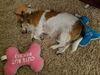 Filename=20190901_001.jpg
Filesize=623KiB
Dimensions=2048x1536
Date added=Apr 09, 2020 20190901_001.jpg