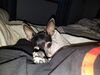 Filename=20190907_001.jpg
Filesize=334KiB
Dimensions=2048x1536
Date added=Apr 09, 2020 20190907_001.jpg