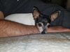 Filename=20190912_001.jpg
Filesize=502KiB
Dimensions=2048x1536
Date added=Apr 09, 2020 20190912_001.jpg