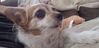 Filename=20190912_002.jpg
Filesize=171KiB
Dimensions=2047x996
Date added=Apr 09, 2020 20190912_002.jpg