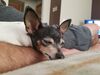 Filename=20190912_003.jpg
Filesize=350KiB
Dimensions=2048x1536
Date added=Apr 09, 2020 20190912_003.jpg