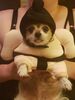 Filename=20190919_002.jpg
Filesize=243KiB
Dimensions=1536x2048
Date added=Apr 09, 2020 20190919_002.jpg
