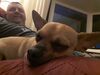 Filename=20190930_002.jpg
Filesize=403KiB
Dimensions=2048x1536
Date added=Apr 09, 2020 20190930_002.jpg