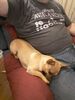 Filename=20190930_005.jpg
Filesize=451KiB
Dimensions=1536x2048
Date added=Apr 09, 2020 20190930_005.jpg