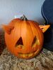 Filename=20191031_006.jpg
Filesize=349KiB
Dimensions=1536x2048
Date added=Apr 10, 2020 20191031_006.jpg