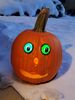 Filename=20191031_014.jpg
Filesize=281KiB
Dimensions=1536x2048
Date added=Apr 10, 2020 20191031_014.jpg