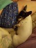 Filename=20191102_001.jpg
Filesize=337KiB
Dimensions=1536x2048
Date added=Apr 10, 2020 20191102_001.jpg