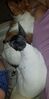 Filename=20191104_001.jpg
Filesize=327KiB
Dimensions=1011x2047
Date added=Apr 10, 2020 20191104_001.jpg