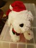 Filename=20191201_002.jpg
Filesize=230KiB
Dimensions=1536x2048
Date added=Apr 10, 2020 20191201_002.jpg