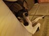 Filename=20191210_001.jpg
Filesize=252KiB
Dimensions=2048x1536
Date added=Apr 10, 2020 20191210_001.jpg