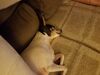 Filename=20191210_002.jpg
Filesize=265KiB
Dimensions=2048x1536
Date added=Apr 10, 2020 20191210_002.jpg