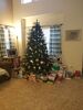 Filename=20191225_001.jpg
Filesize=505KiB
Dimensions=1536x2048
Date added=Apr 10, 2020 20191225_001.jpg